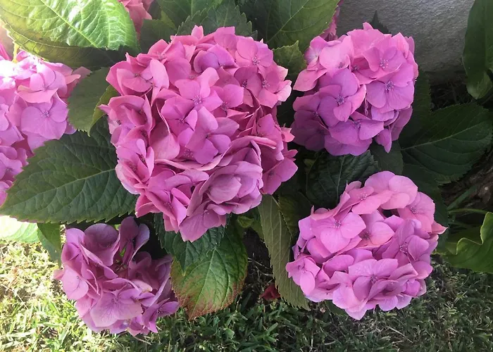 Bunker 11 Surf House *