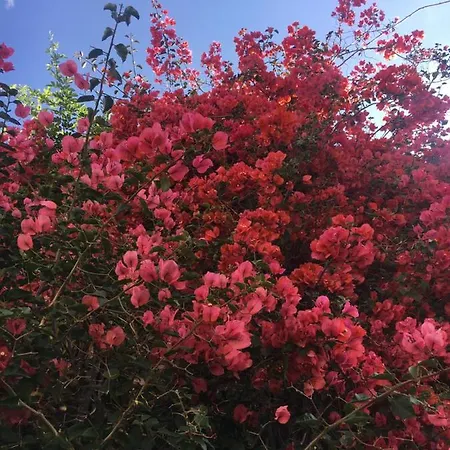 Bunker 11 Surf House Шарнека