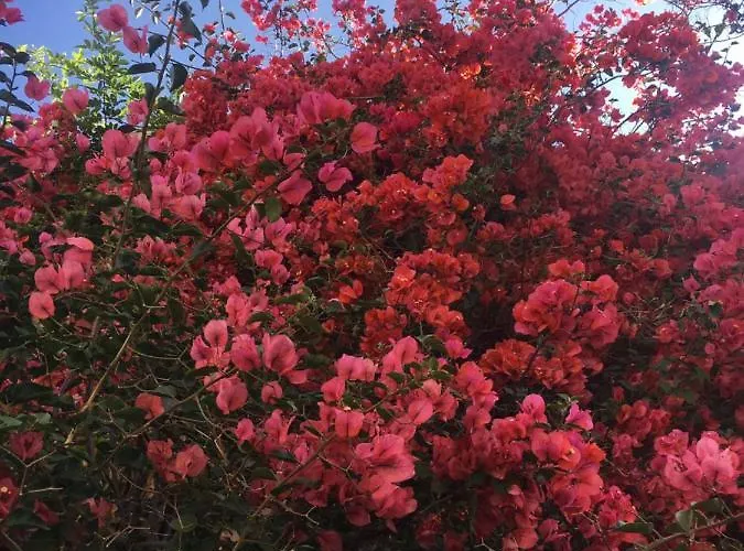 Bunker 11 Surf House Charneca (Setubal)